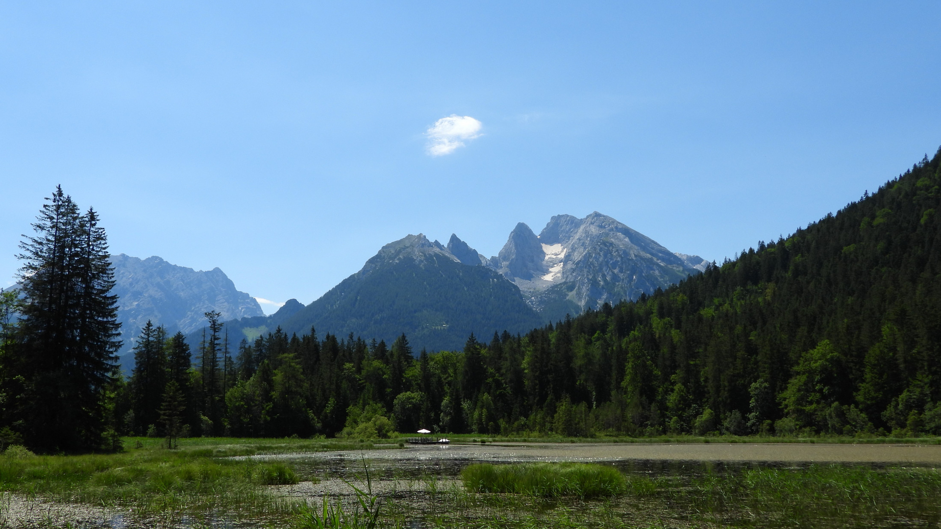 Taubensee