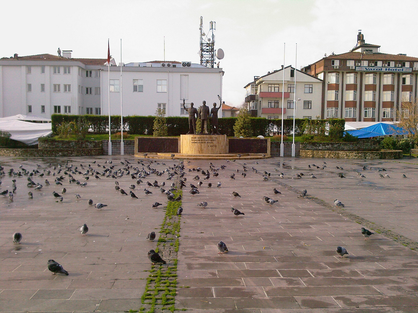 Taubenversammlung in Bart&#305;n