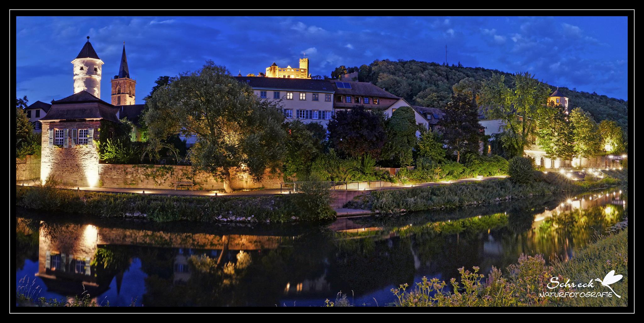 Tauber-Panorama in Wertheim