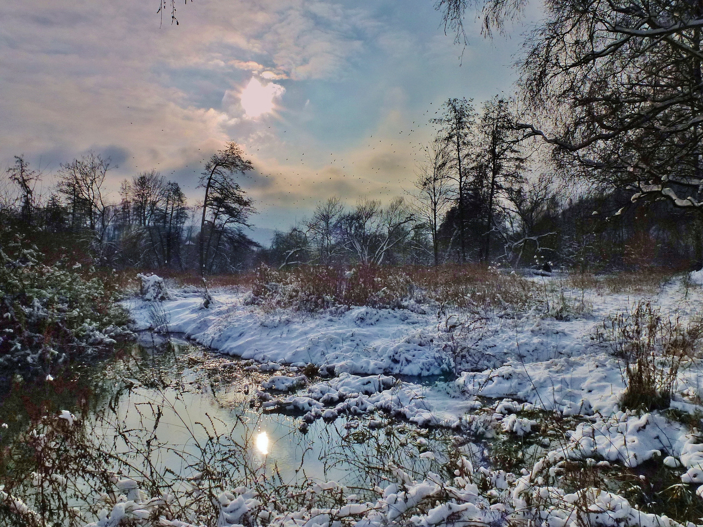 Tauberauen im Winter.