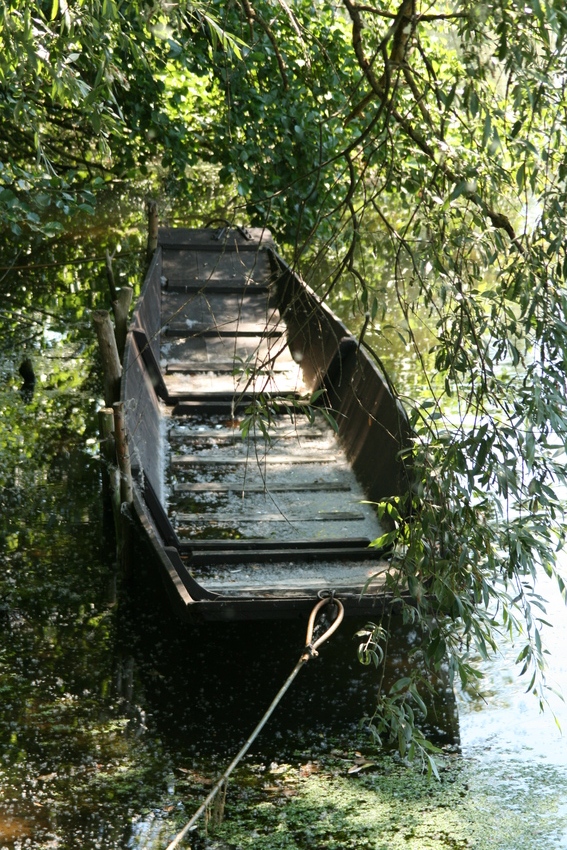 Taubergiesen in Wittenweier