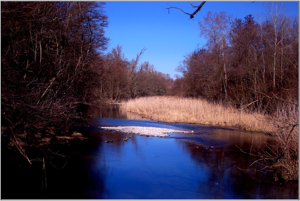 Taubergießen (1)