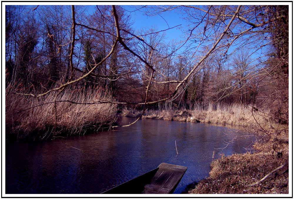 Taubergießen (6)