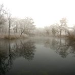 Taubergießen - das "Blaue Loch" im Nebel