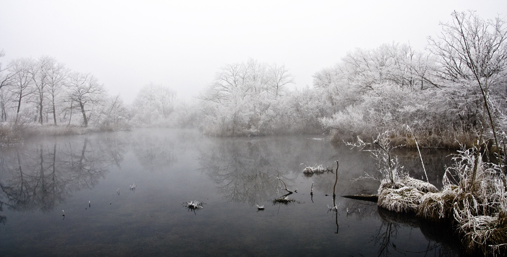 Taubergießen - das "Blaue Loch" im Nebel 2