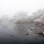 Taubergießen - das "Blaue Loch" im Nebel 2