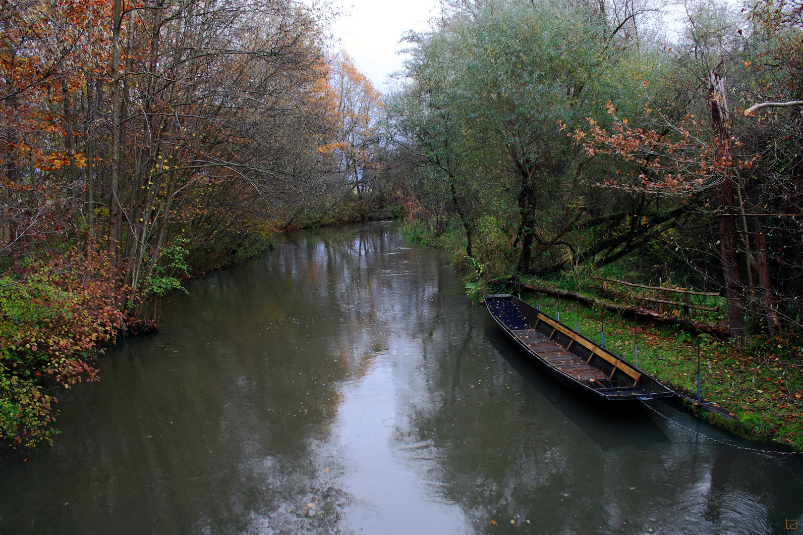 Taubergießen