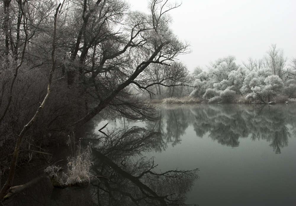 Taubergießen im Winterschlaf