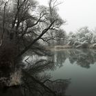 Taubergießen im Winterschlaf