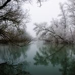 Taubergießen im Winterschlaf II