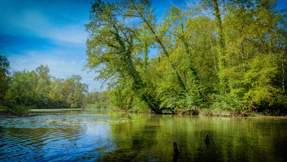 Taubergießen in HDR / Foto Nr. 2