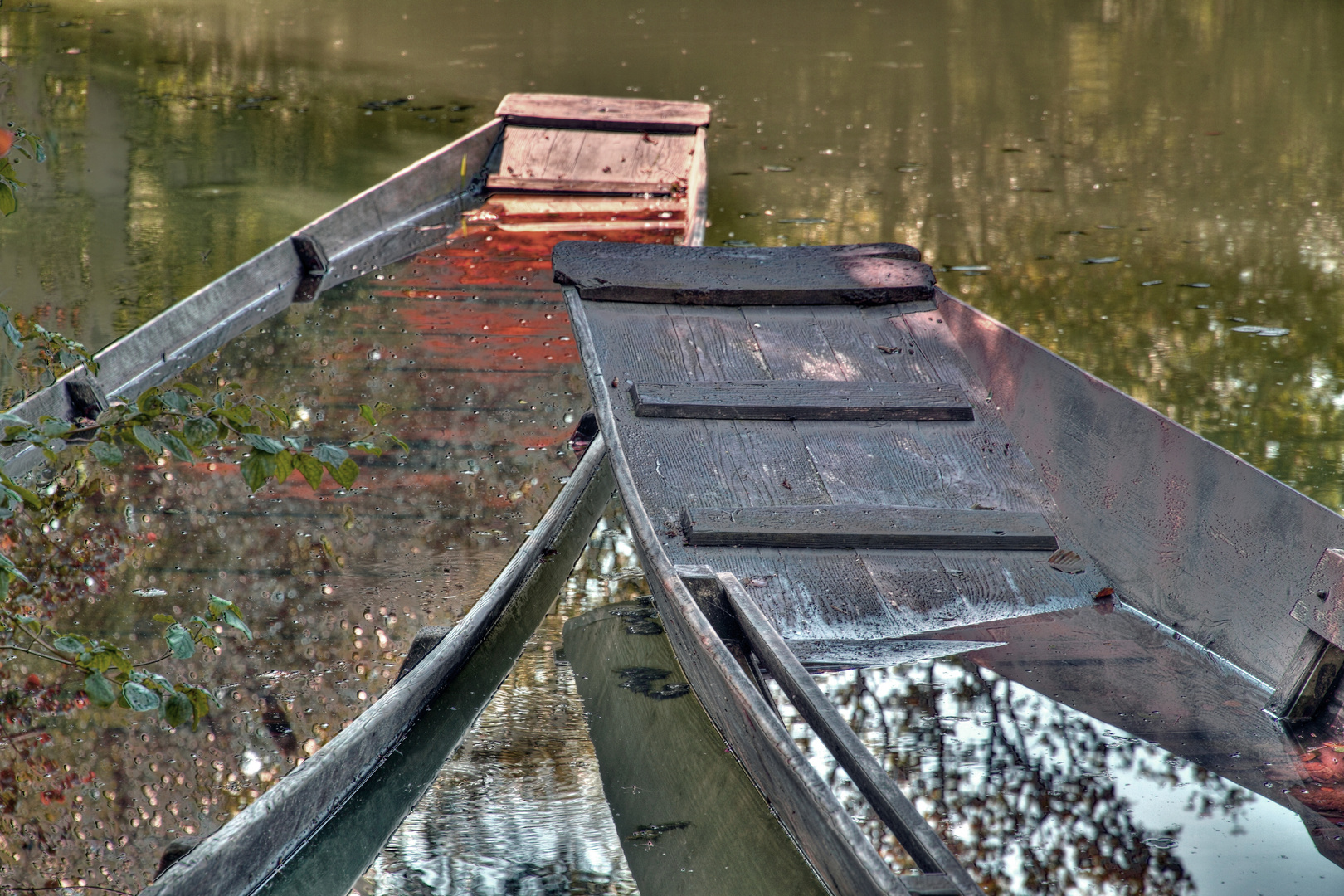 Taubergiessen mit Boot-2 Rheinaue Südbaden