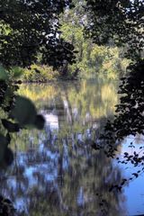 Taubergiessen Rheinaue Südbaden (2)