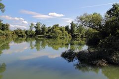 Taubergiessen Rheinaue Südbaden (3)