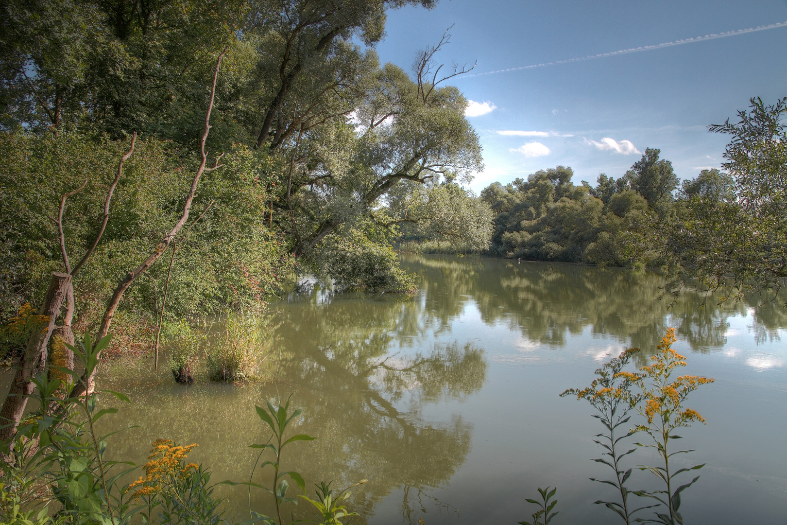 Taubergiessen Rheinaue Südbaden