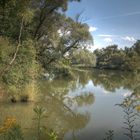 Taubergiessen Rheinaue Südbaden