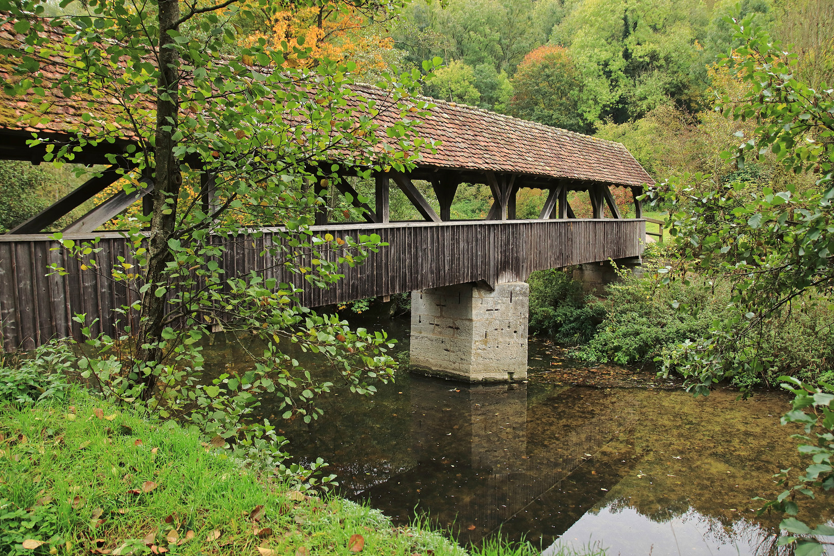 ...Tauberherbst...