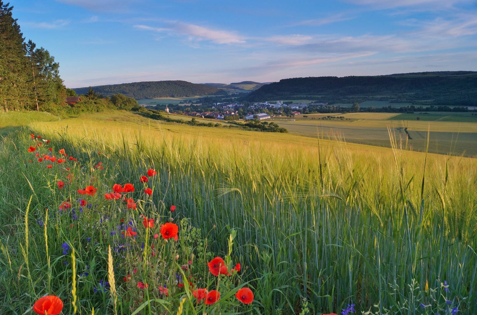 Taubertal Foto & Bild | world, feld, mohn Bilder auf fotocommunity