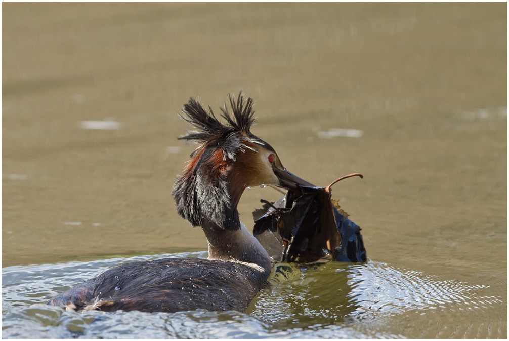 Taucharbeiten im See und.......