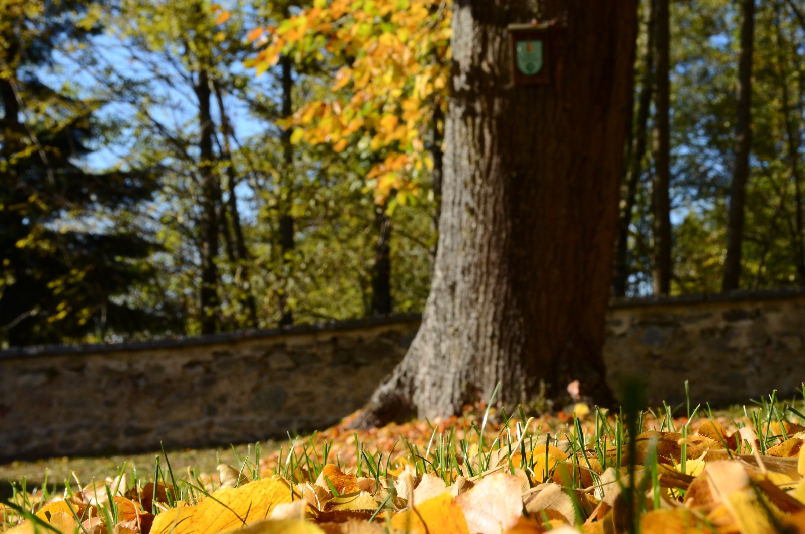 Tauche ein in den Herbst