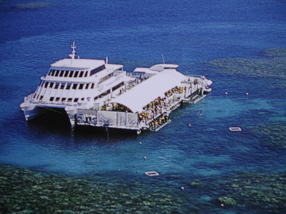 Tauchen im Great Barrier Reef