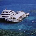 Tauchen im Great Barrier Reef