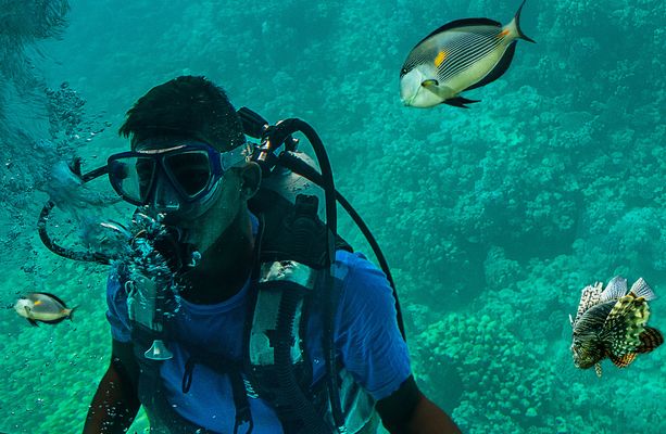 Taucher im Roten Meer......