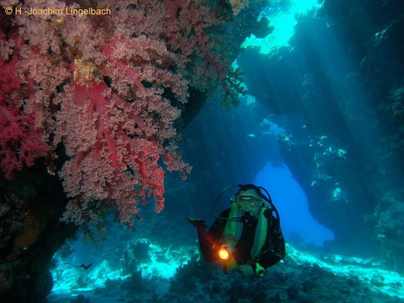 Taucher im Roten Meer, Cave Reef