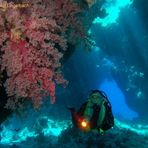 Taucher im Roten Meer, Cave Reef