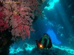 Taucher im Roten Meer, Cave Reef