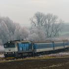 Taucherbrillen-Alarm bei Bysice.