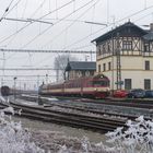 Taucherbrillen-Alarm mit Steuerwagen voraus!