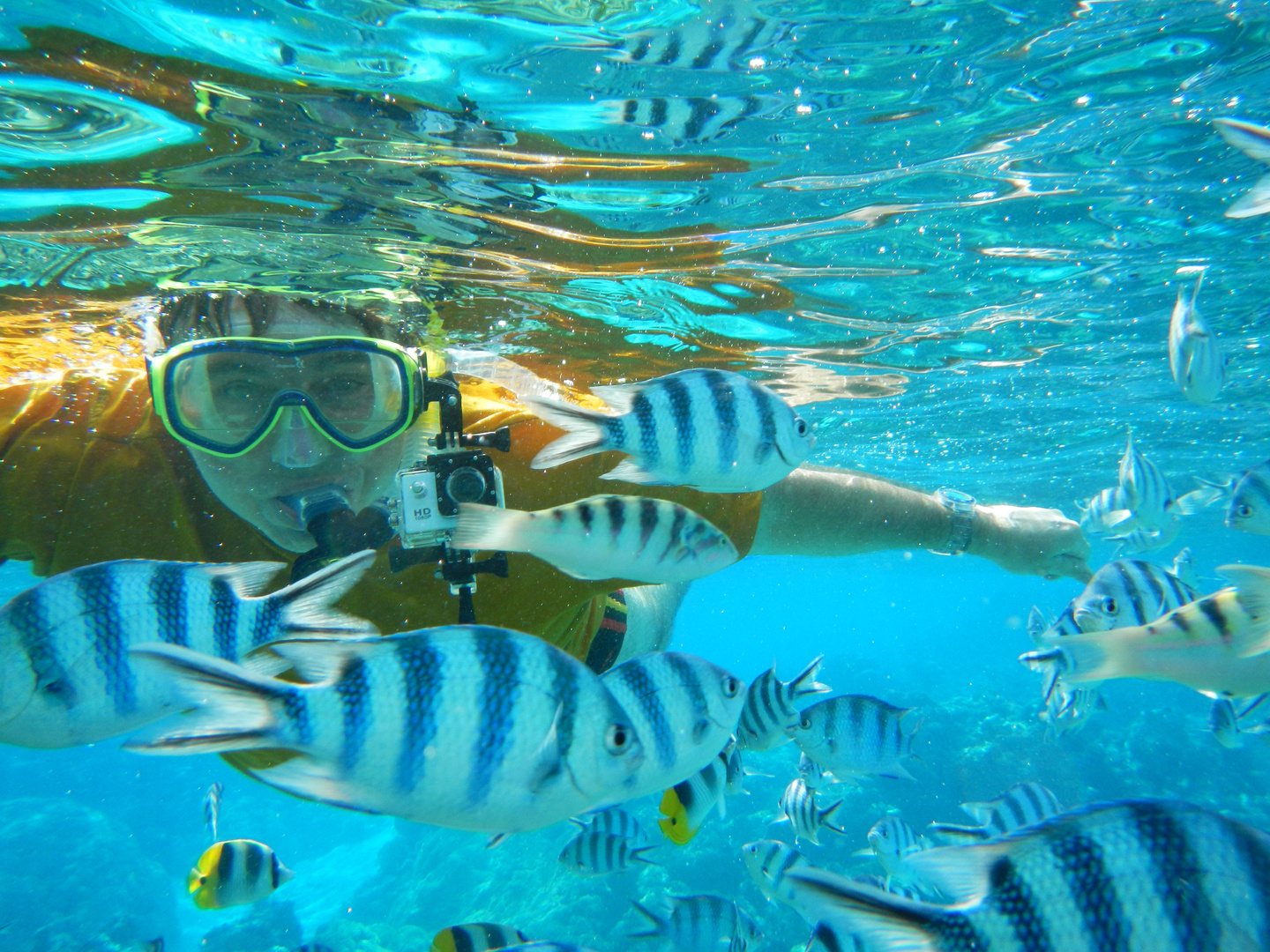 Taucherlebnis Bora Bora