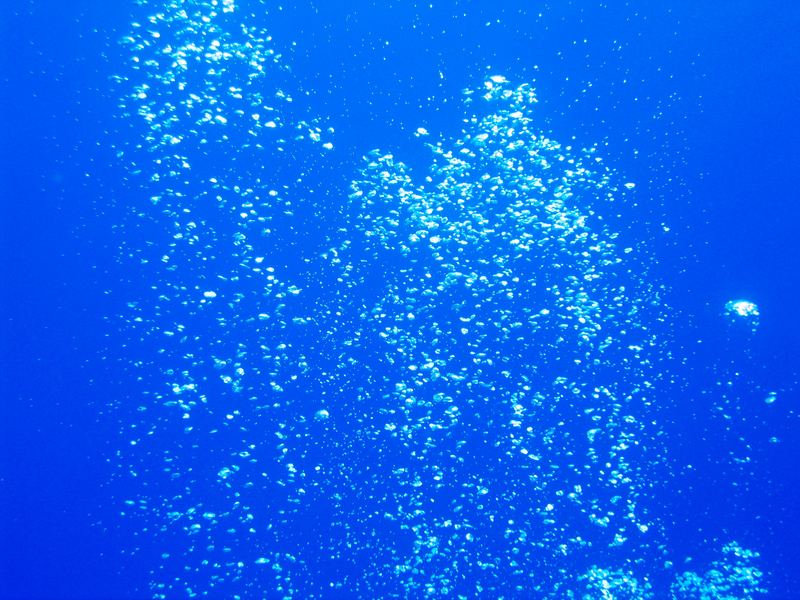 Tauchgang Foto & Bild  die elemente, natur Bilder auf fotocommunity