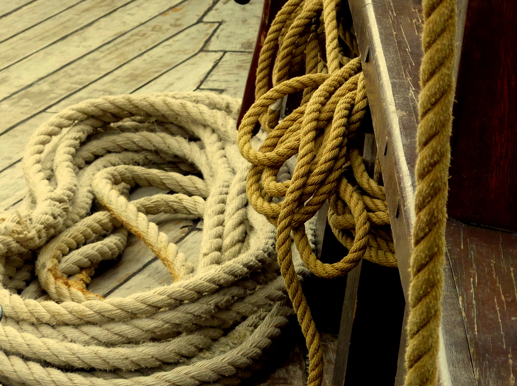 Taue vom Foto & Bild reportage dokumentation, lübeck, motive Bilder