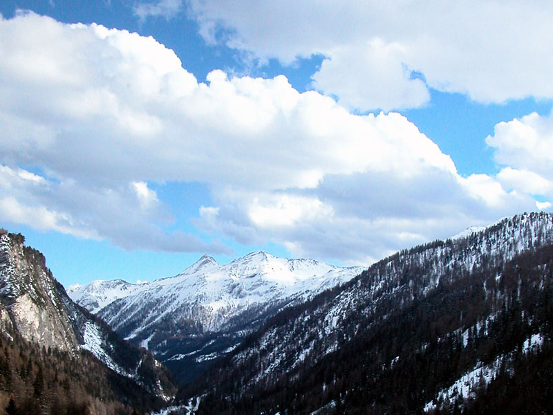 Tauern