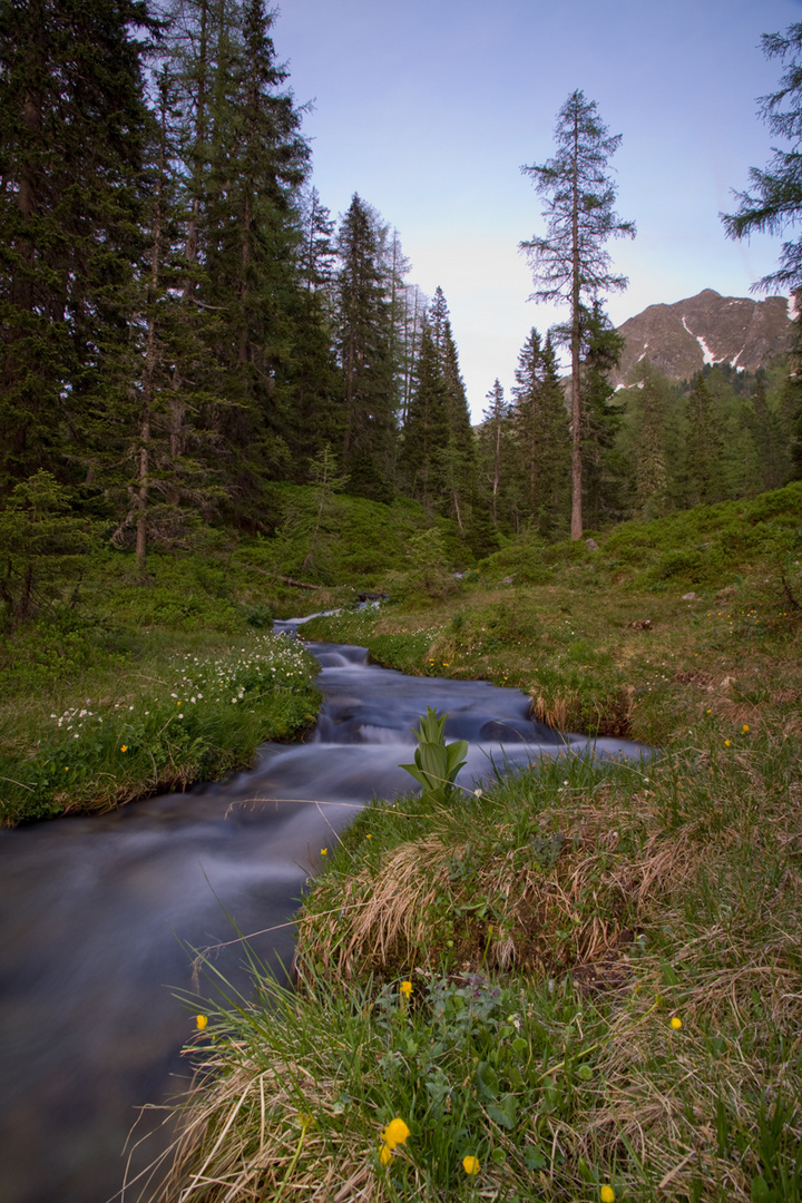 Tauernkaralm