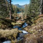 Tauernkarsee Zulauf