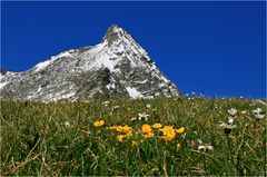 Tauernkogel vom Bauch aus, neue Bearbeitung