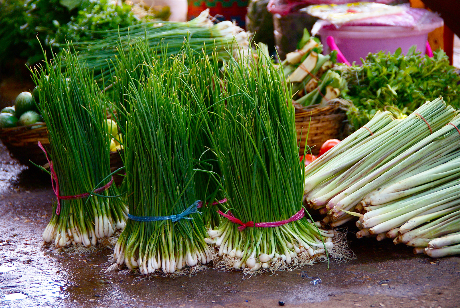 taufrische frühlingszwiebeln, laos 2010