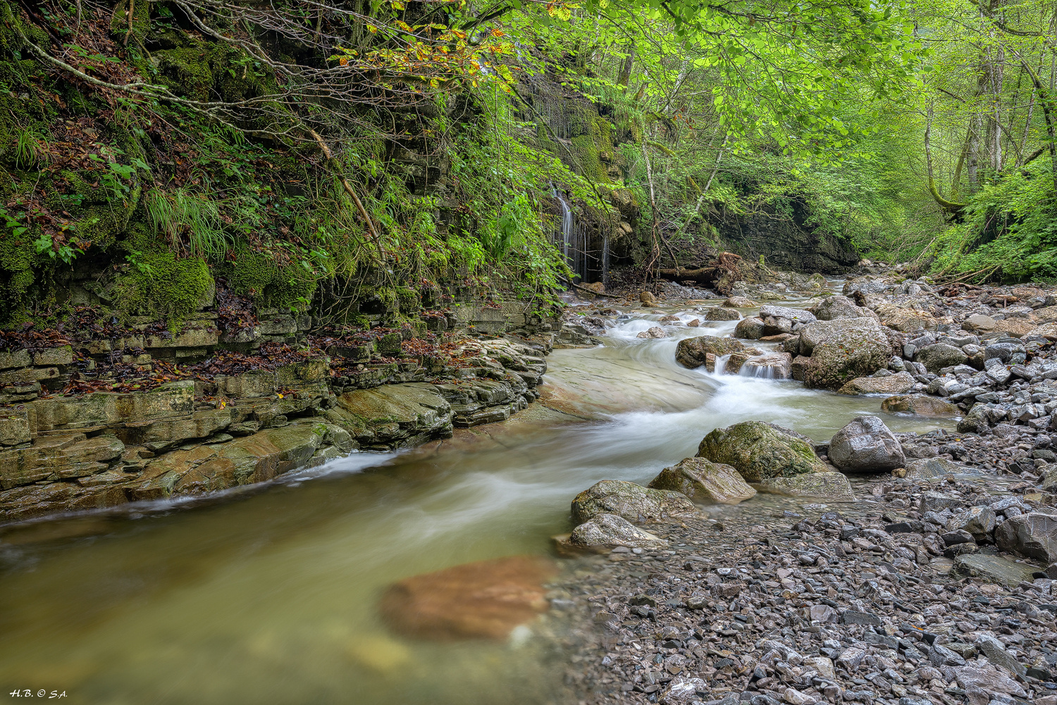 Tauglbach