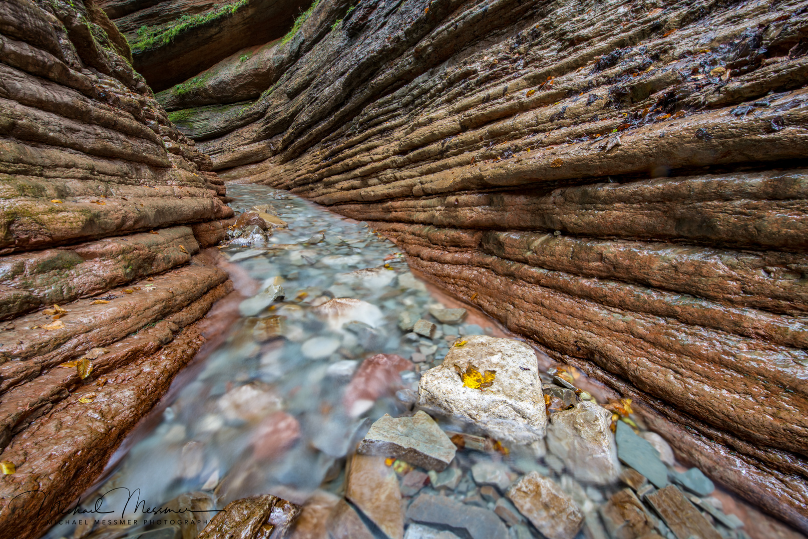 Tauglbach im Herbst