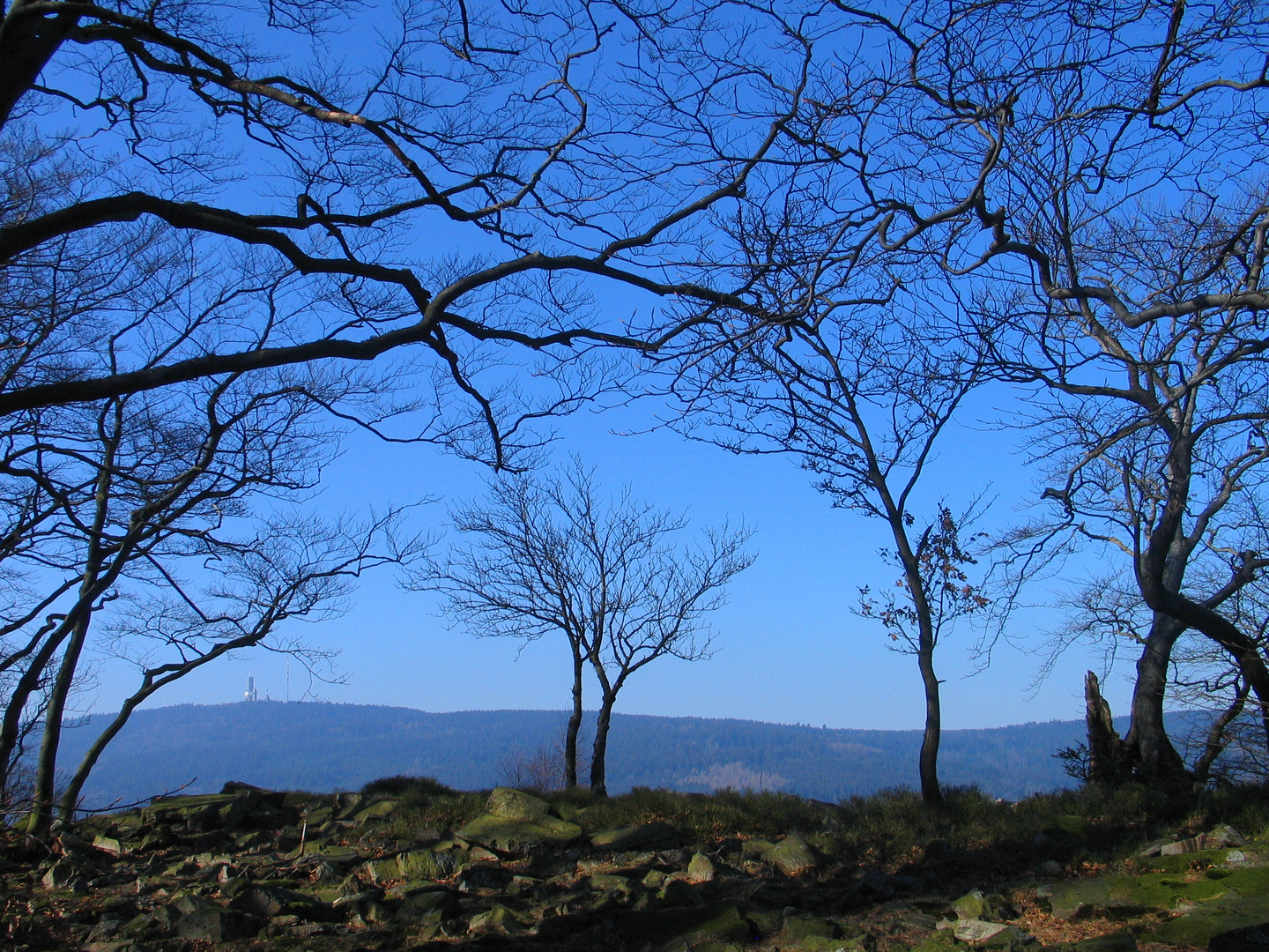 Taunus 2