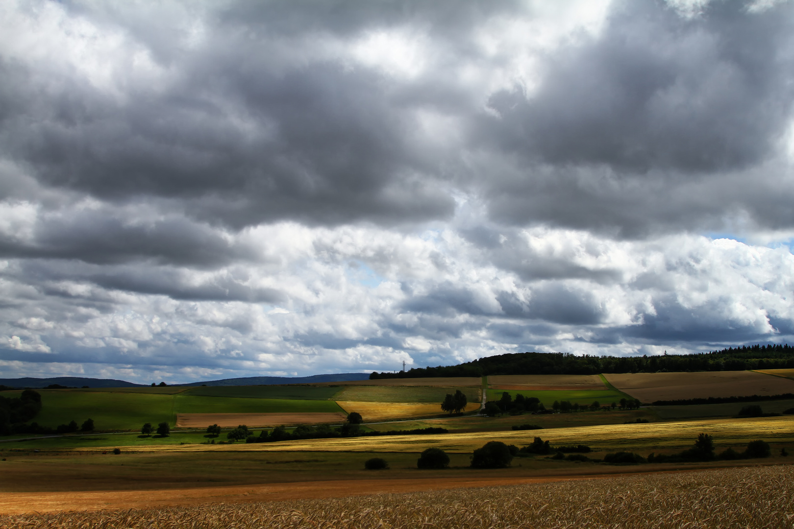 Taunus