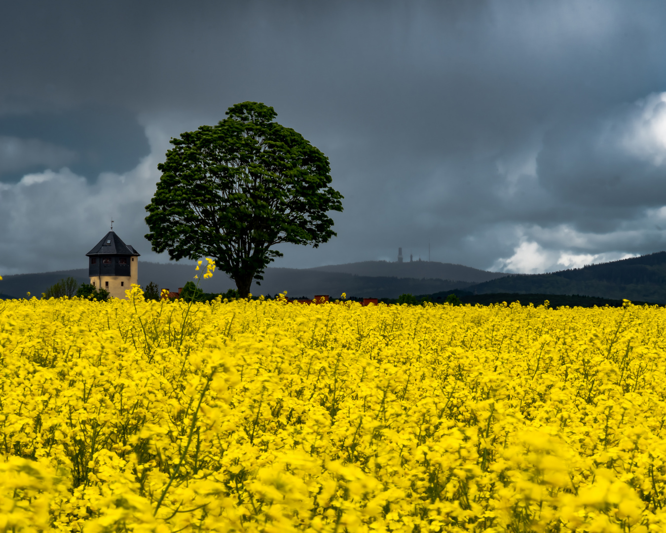 Taunus