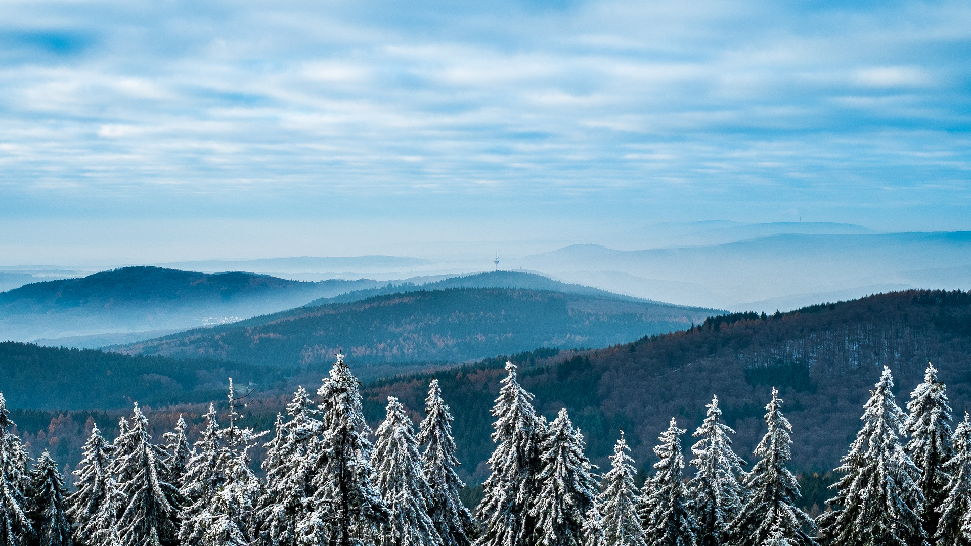 Taunus