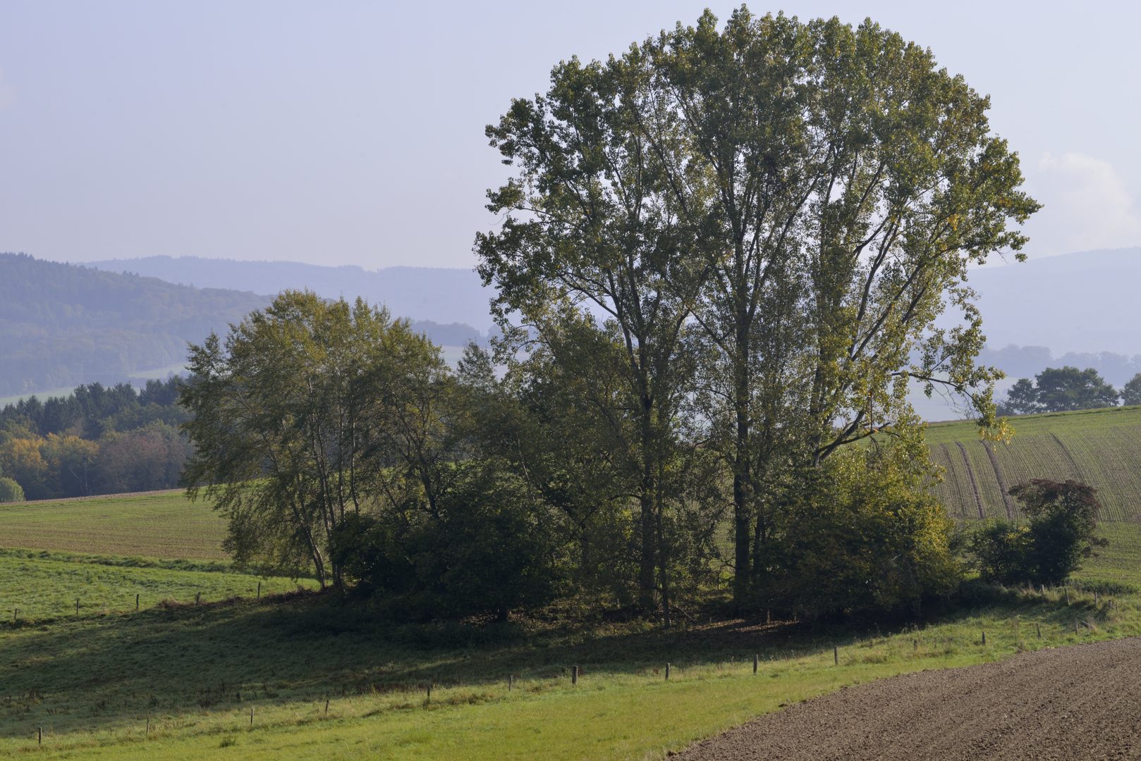 Taunus bei Heftrich