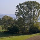 Taunus bei Heftrich