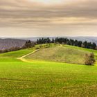 Taunus bei Presberg 04