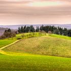 Taunus bei Presberg 07